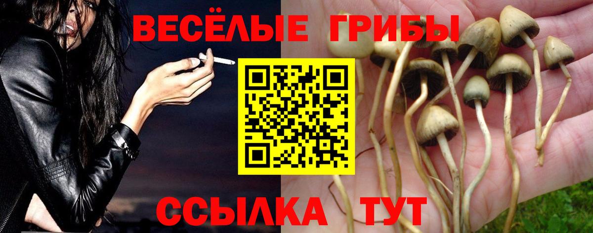 Галлюциногенные грибы мицелий Балашиха