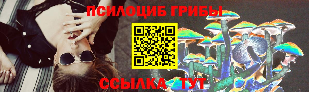 Галлюциногенные грибы MAGIC MUSHROOMS  Галлюциногенные грибы Magic Shrooms  Вход с VPN  Балашиха 